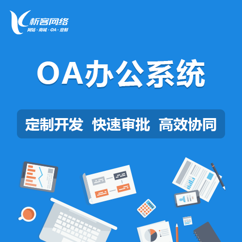 政府网站定制中的无障碍访问标准落地指南